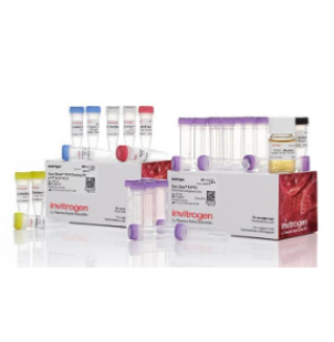 Oropouche病毒RT-PCR试剂盒