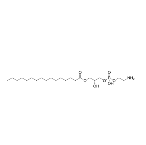 1-棕榈酰基-2-羟基-sn-甘油-3-磷酸乙醇胺