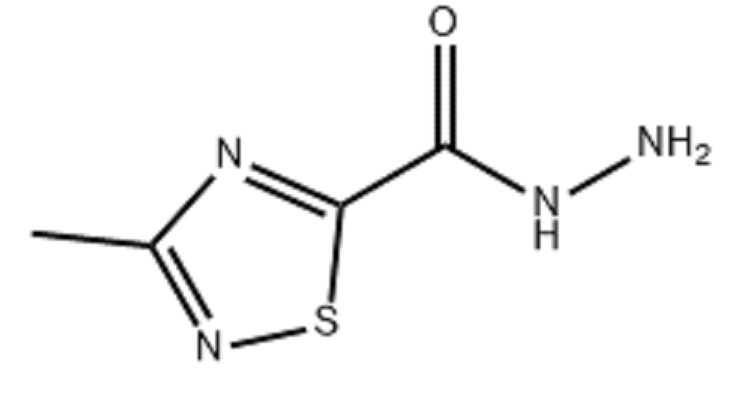 3-甲基-1,2,4-噻二唑-2(3H)-碳酰肼