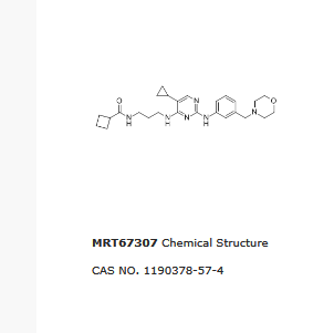 MRT67307|SIK/TBK-1/IKKe抑制剂