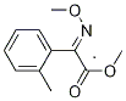 (E)2-甲氧基亚胺基-[(2-邻甲基苯基)]乙酸甲酯