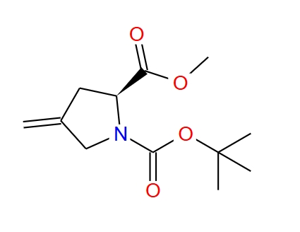 N-BOC-4-亚甲基-L-脯氨酸甲酯