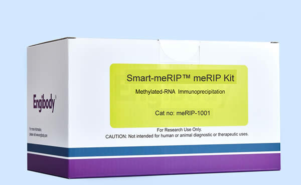 meRIP Kit（甲基化RNA免疫沉淀试剂盒）