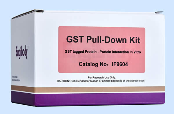 蛋白互作GST Pull-Down试剂盒