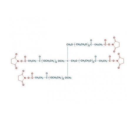 四臂聚乙二醇琥珀酰亚胺琥珀酸酯