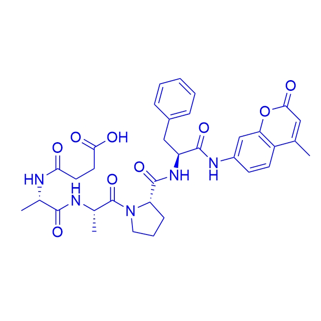 α-凝乳胰蛋白酶荧光底物多肽/88467-45-2/Suc-Ala-Ala-Pro-Phe-AMC