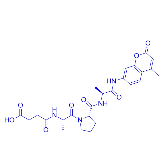 弹性蛋白酶三肽底物Suc-APA-AMC/88467-44-1/Suc-Ala-Pro-Ala-AMC