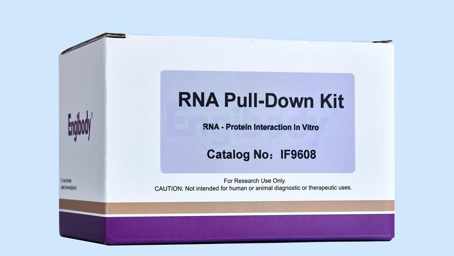 RNA Pull-down