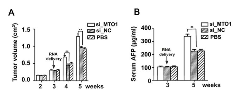 in-vivo-siRNA3.png