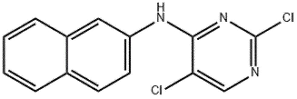 2,5-二氯-N-(萘-2-基)嘧啶-4-胺