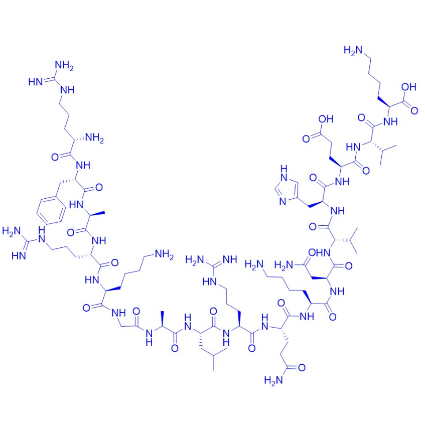 Protein Kinase C (19-35) Peptide/309247-48-1/PKC假底物抑制剂多肽Protein Kinase C (19-35) Peptide