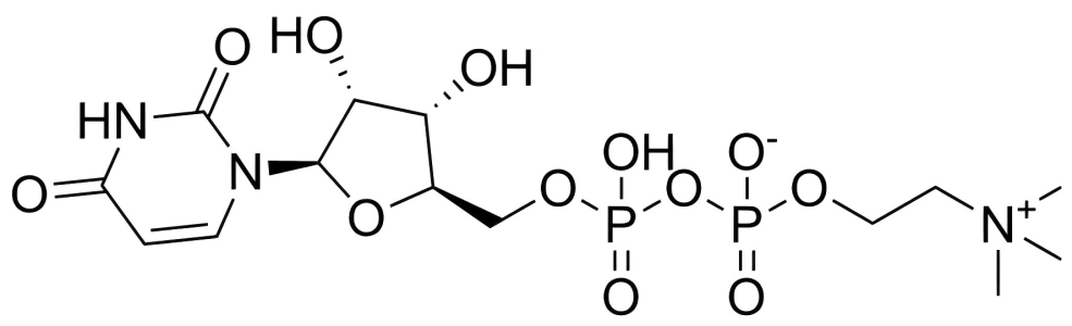 尿苷二磷酸胆碱；UDPC