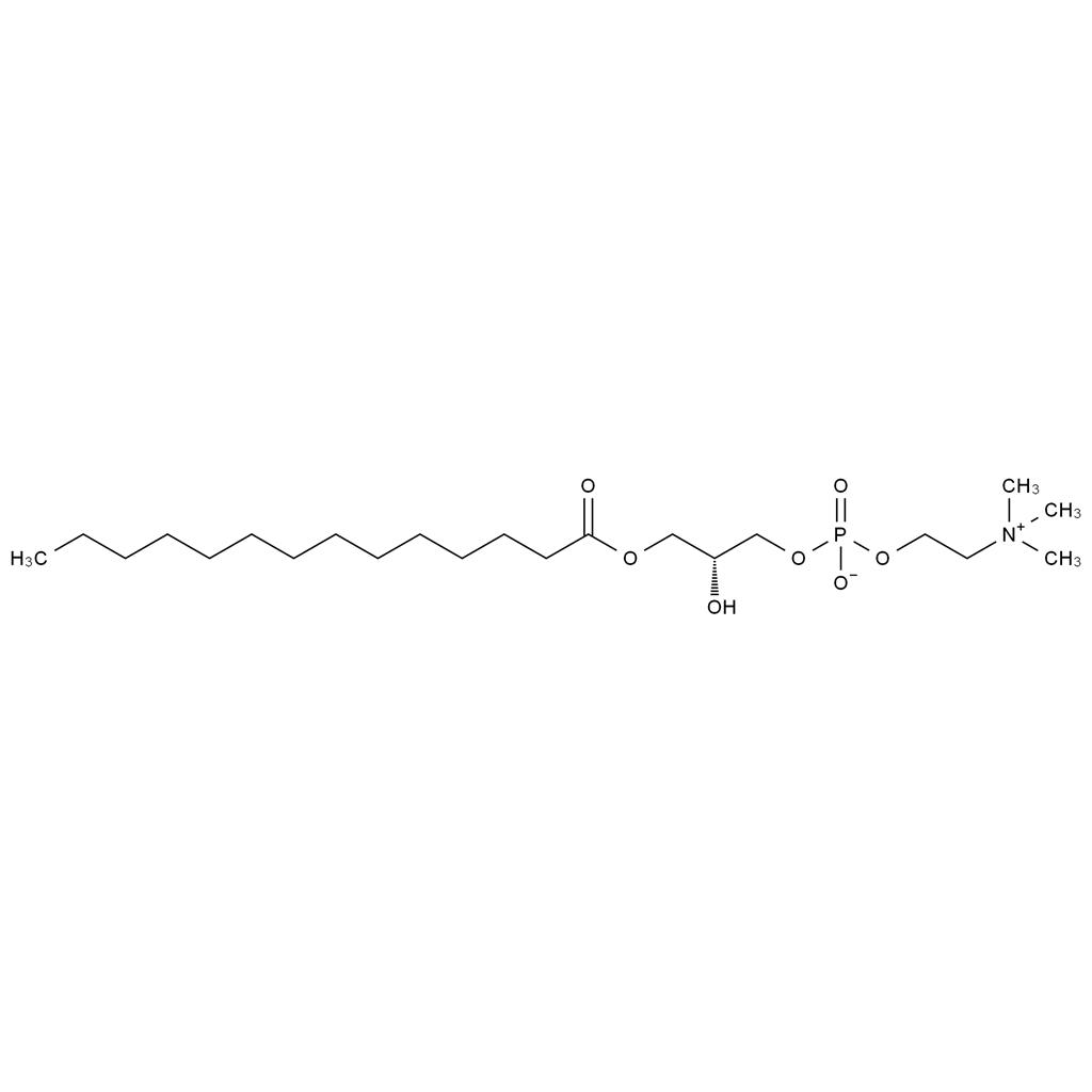 CATO_1-十四酰-2-羟基卵磷脂_20559-16-4_97%