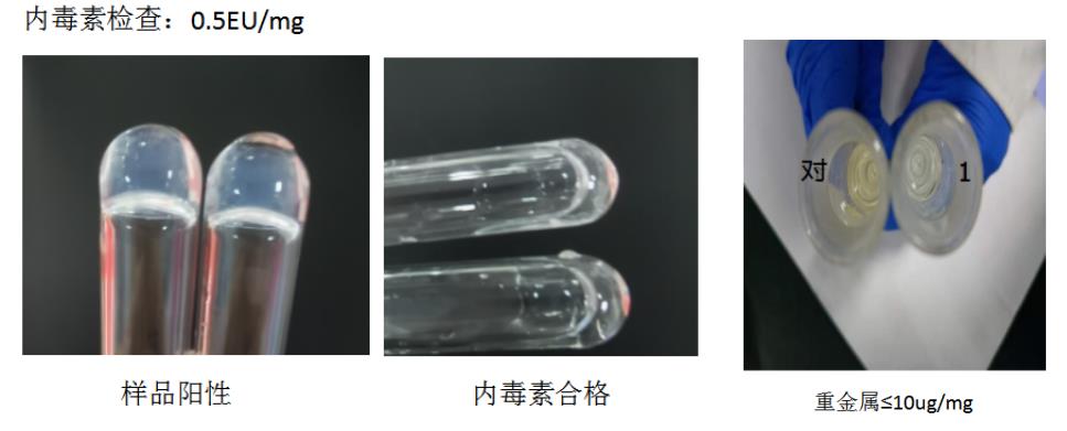 巯基透明质酸/硫醇化透明质酸/透明质酸巯基 /HA-SH/SH-HA/Hyaluronate-Thiol