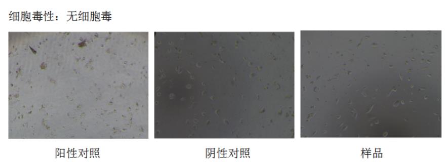 巯基透明质酸/硫醇化透明质酸/透明质酸巯基 /HA-SH/SH-HA/Hyaluronate-Thiol