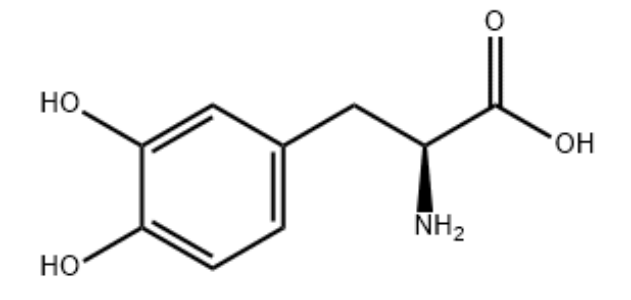 左旋多巴(1-13C,环-13C6,99%)L-DOPA(1-13C, RING-13C6, 99%)