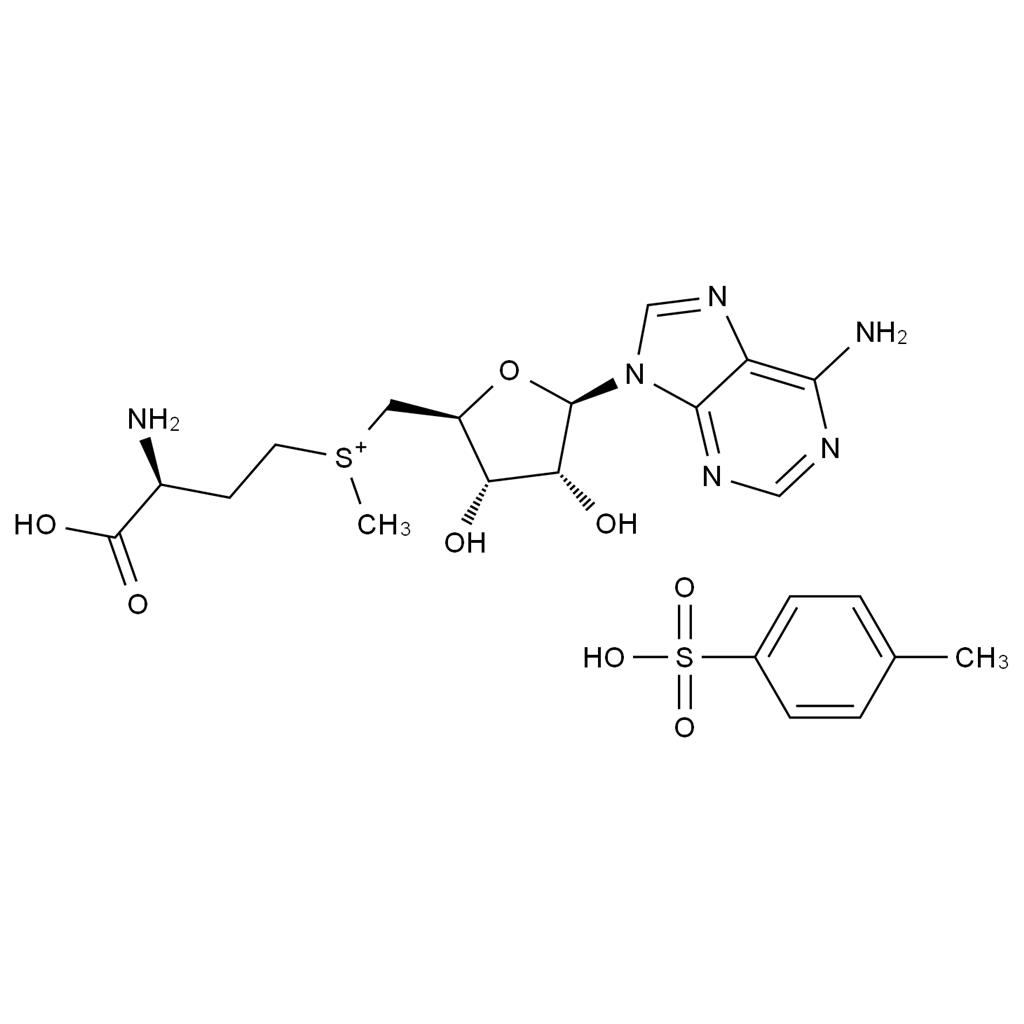 CATO_S-腺苷-L-蛋氨酸甲磺酸盐_71914-80-2_97%