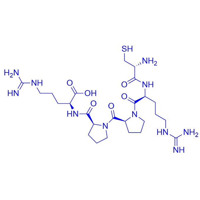 心脏归巢肽CRPPR/876460-72-9/Heart-homing peptide