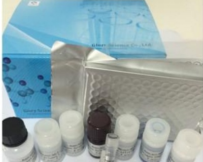 鸡传染性贫血病毒染料法荧光定量PCR试剂盒Chicken Infectious Anemia Virus(CIAV)