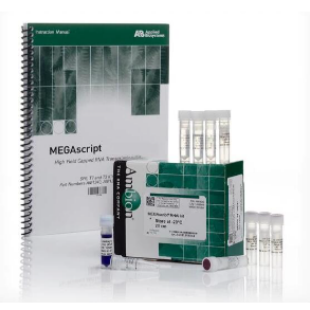 田鼠分枝杆菌染料法荧光定量PCR试剂盒Mycobacterium microti