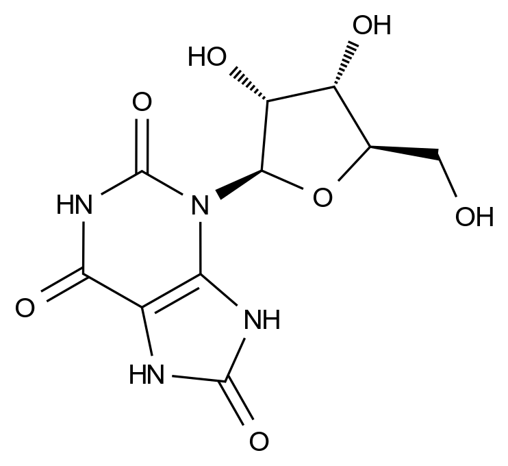 CATO_3-（（2R，3R，4S，5R）-3,4-二羟基-5-（羟甲基）四氢呋喃-2-基）-7,9-二氢-1H-嘌呤-2,6,8（3H）-三酮_2124-54-1_97%