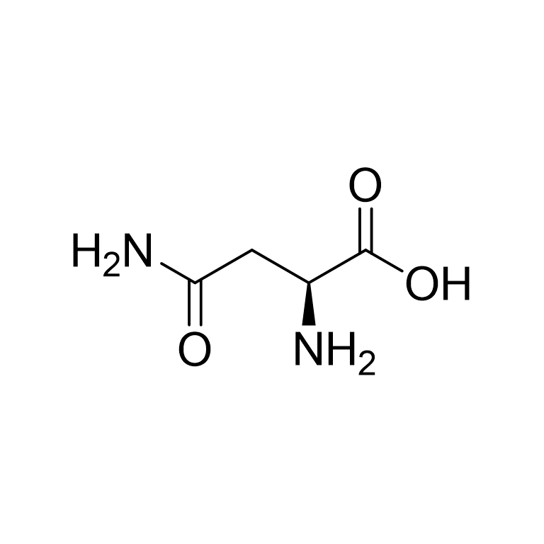 L-天冬酰胺:H2O(13C4) L-ASPARAGINE:H2O(13C4)