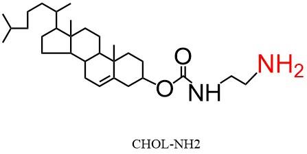 CHOL-NH2 .jpg