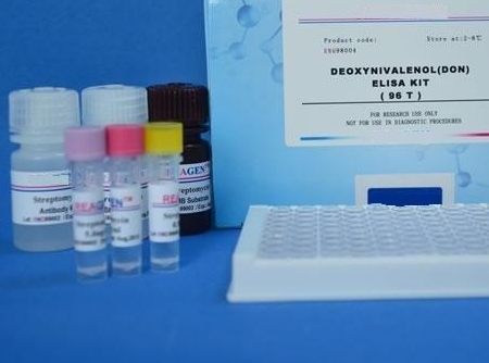 牛肠杯状病毒染料法荧光定量RT-PCR试剂盒Bovine Enteric Calicivirus(BECV)