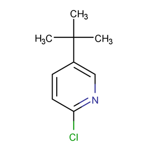 5-(叔丁基)-2-氯吡啶