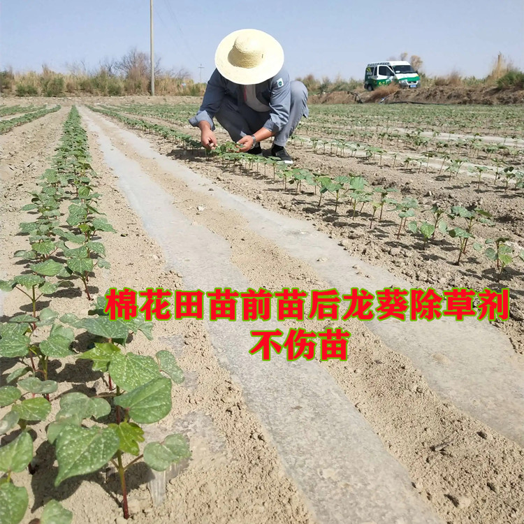 95%嘧硫草醚（嘧草硫醚）除草剂生产厂家