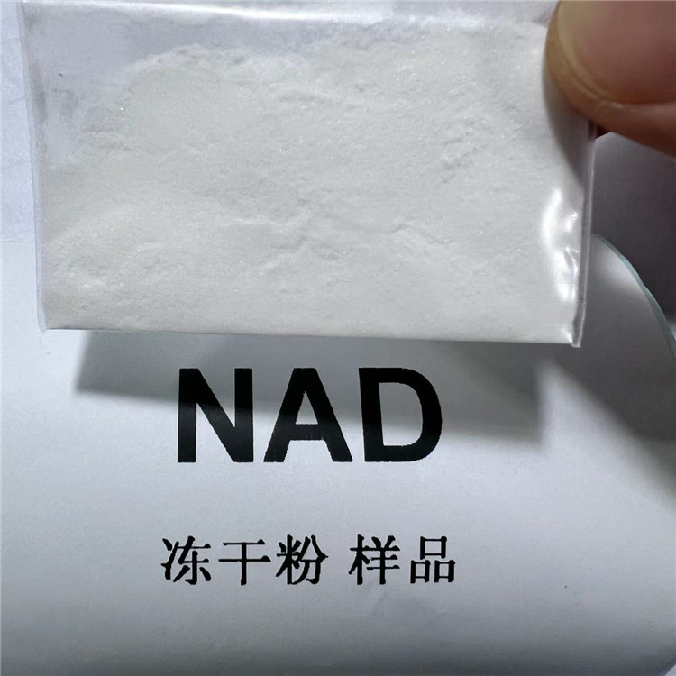 烟酰胺腺嘌呤双核苷酸;氧化型辅酶I NAD+ 53-84-9 99%规格 冻干粉 威德利