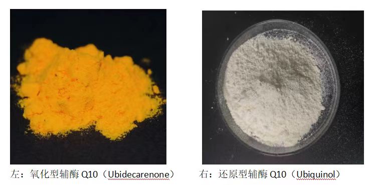 还原型辅酶Q10，含量98%，USP标准，992-78-9，水溶性辅酶Q10，高纯