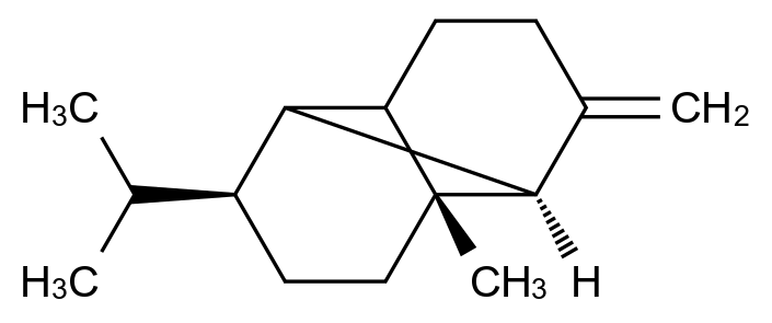 CATO_(±)-β-可巴烯_18252-44-3_97%