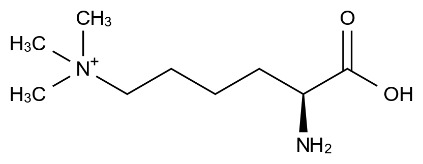 CATO_(S)-5-氨基-5-羧基-N,N,N-三甲基戊-1-铵_19253-88-4_97%