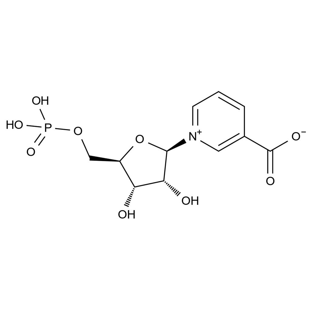 CATO_β-烟酸单核苷酸_321-02-8_97%