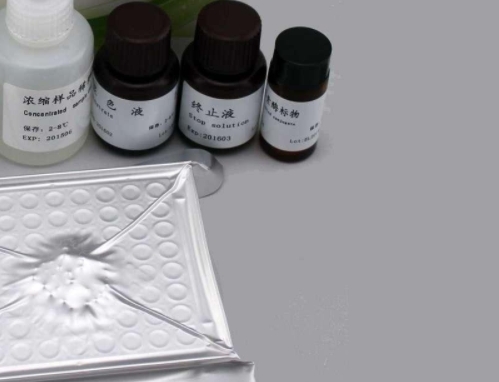 禽白血病病毒F亚群染料法荧光定量RT-PCR试剂盒Avian Leukosis Virus(ALV)