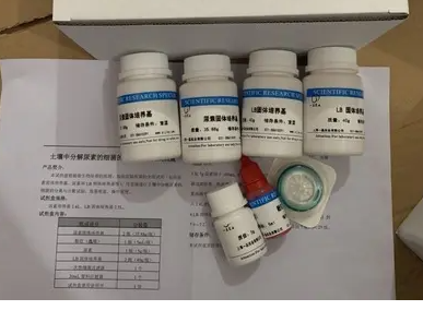 Seneca Valley virus(SVV)塞内加谷病毒染料法荧光定量RT-PCR试剂盒