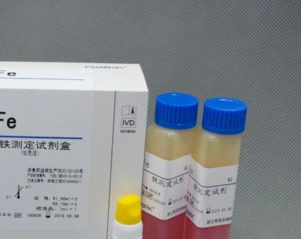 白垩立克次氏体染料法荧光定量PCR试剂盒Rickettsia gravesii