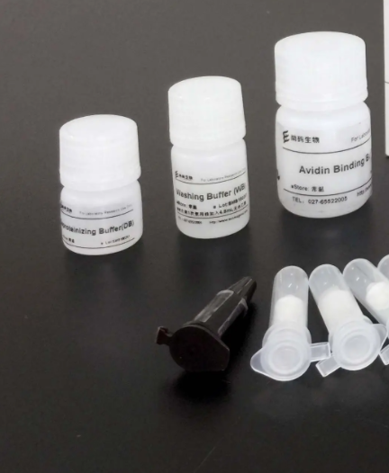 狂犬病病毒街毒株染料法荧光定量RT-PCR试剂盒Rabies Virus(RV、street virus)