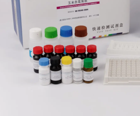 人腺病毒F41型探针法荧光定量PCR试剂盒Human Adenovirus F41（HAdV-F41）