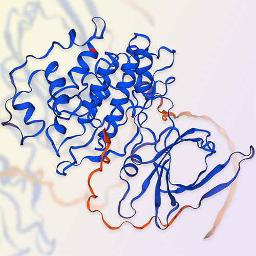 GSK-3 beta重组蛋白-ACROBiosystems百普赛斯