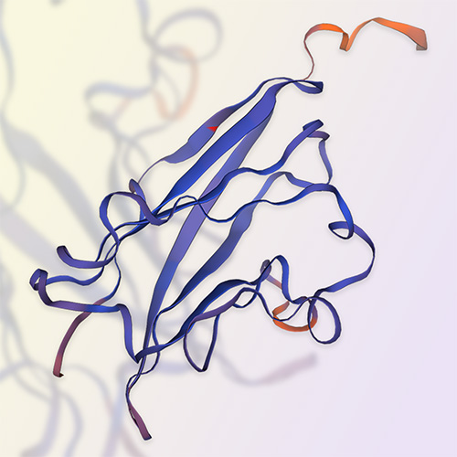 MOG重组蛋白-ACROBiosystems百普赛斯