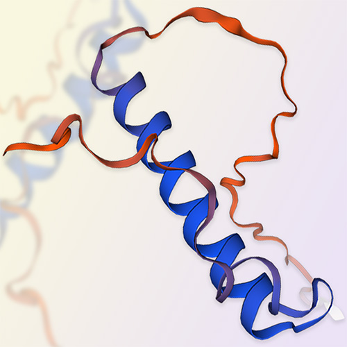 Neurogranin蛋白-ACROBiosystems百普赛斯