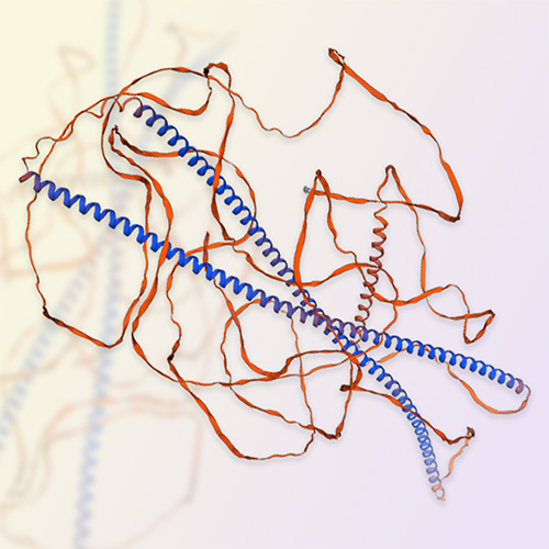 NFH蛋白-ACROBiosystems百普赛斯