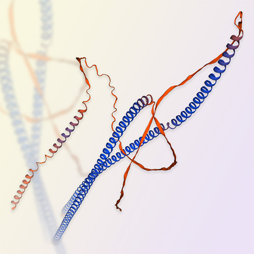 NFL蛋白-ACROBiosystems百普赛斯