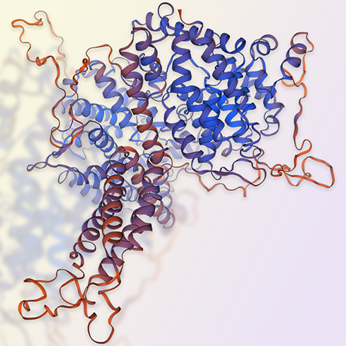 PDE4A蛋白-ACROBiosystems百普赛斯