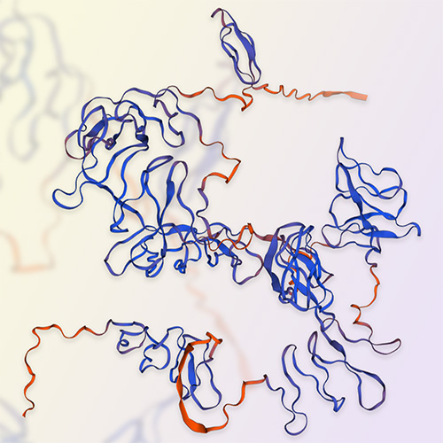 颗粒蛋白前体Progranulin（GRN）蛋白-ACROBiosystems百普赛斯