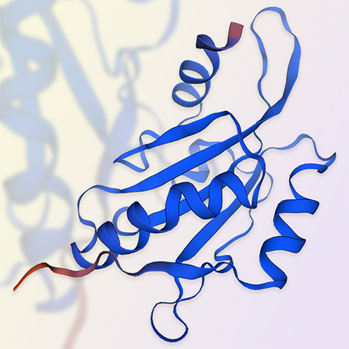 重组人GMF-β蛋白-ACROBiosystems百普赛斯