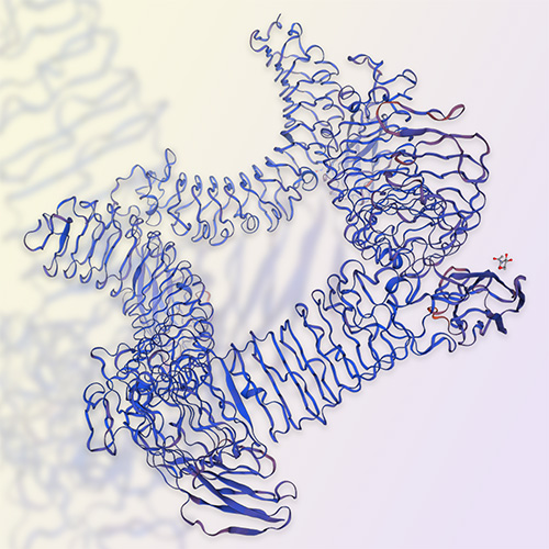 重组人LINGO1蛋白-ACROBiosystems百普赛斯