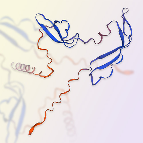 重组人Midkine蛋白-ACROBiosystems百普赛斯